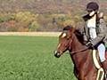Pizazz: My new pony? maybe
