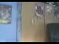 tour of my room.3gp