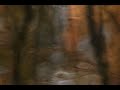 Organic_Images_Youtube.mov