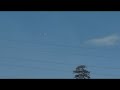 Pterosaur Ornithopter RC : Sordes 5-5 second Flight
