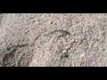 Assistir ao v�deo