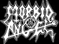 Fall From Grace - Morbid Angel