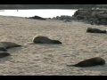 On The Beach