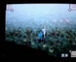 Lost In Blue 2《迷失蔚藍2》第二天快速义魚做料理 Survival in first 2 days
