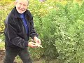 Cooking for Solutions Part 2 of 3