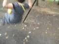 Swingers - YouTube