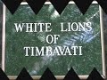 White Lion