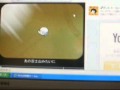���餫��֤β� �������� ��������:YouTube������=577��