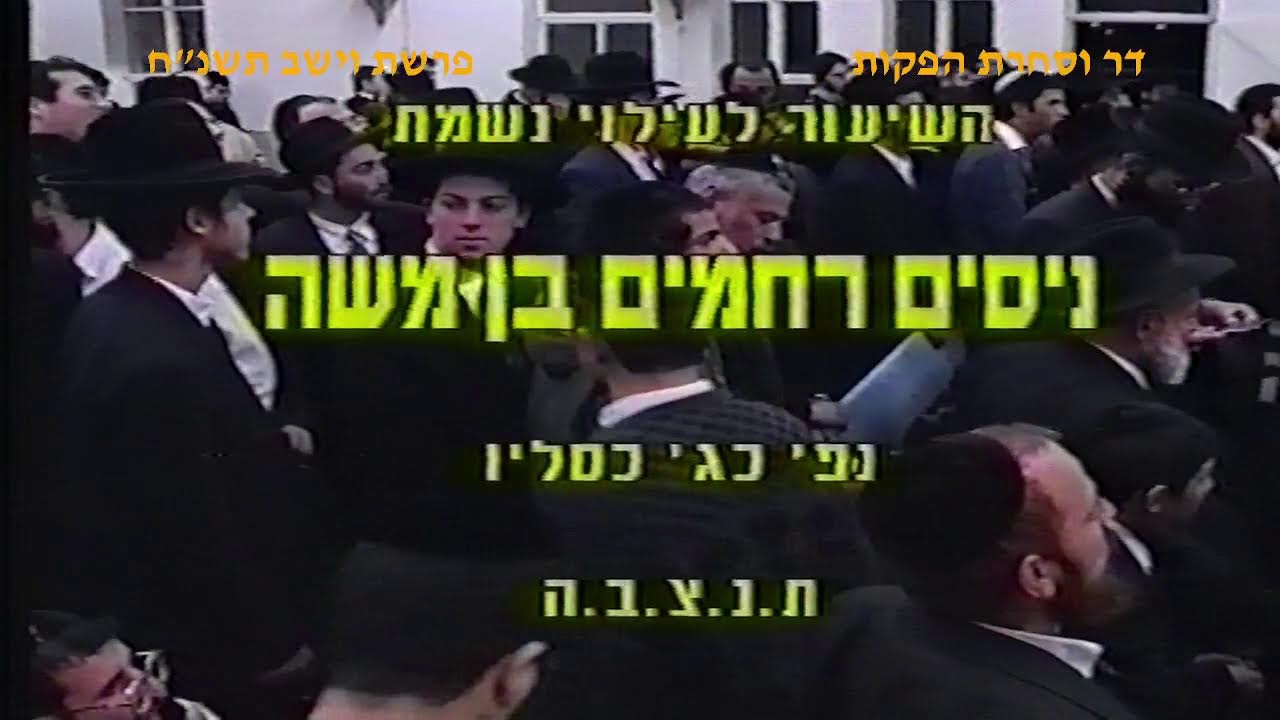 מרן רבנו עובדיה יוסף זצוק"ל זיע"א פרשת וישב תשנ"ח הלכות חנוכה מרן רבנו עובדיה יוסף זצוק"ל זיע"א פרשת וישב תשנ"ח הלכות חנוכה