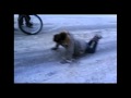 Hardcore sko!