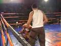 Nocaute-leal-Combat