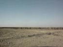 kuwait lno 82nd