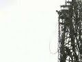 Naghol Land Diving Naghol Land Diving