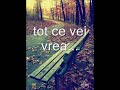 Cineva versuri