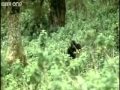 Funny talking animals!!! :) Funny talking animals!!! :)