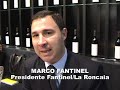 Vinitaly 2008 - Vino e Marketing.