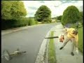 Stihl blow