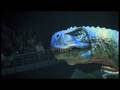 videos de Walking With Dinosaurs