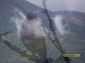 My Trip to Ireland