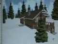 Cabin Design 10