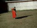 videos de capea chavales nh 11