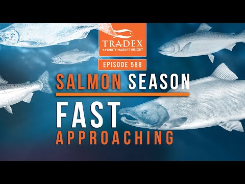 3MMI - Alaska Salmon Season Is Fast Approaching; Salmon 101