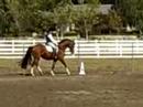 Serra 09.22.07(Krack C x Wagner) schooling training 3 Serra 09.22.07(Krack C x Wagner) schooling training 3