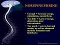 Super Brain - Part 2 of 8