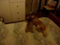 videos de 001.MPG