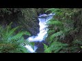 Concentration Alpha Super Focus Binaural Beat + Waterfall Music 30m