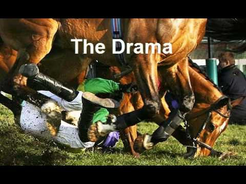 racing results cheltenham