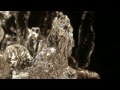 Glacon macro.mpg