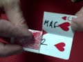 Tear & Restore Card Trick Tutorial