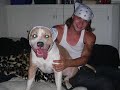 The American Pitbull Terrier: Fact Or Fiction Volume 1. The American Pitbull Terrier: Fact Or Fiction Volume 1.