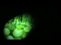 Freqlab Dj house sessions 2