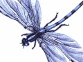 Death-by-bugs-Death-