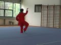 Taijiquan in the summer 2006 in Shanghai
