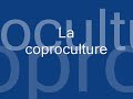 ifsi coproculture