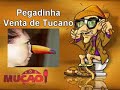 Mucao-com-br-Pegadin