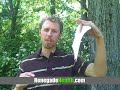Is Raw Milk Good for You #73 E. Coli Infections