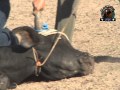 FAUSTO EL BOMBON DE JAL V.S EL SATANAS (PLAZA DE TOROS EL CORTIJO) 2012