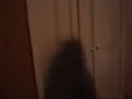 Horror 094.AVI