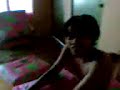 sham kene cabul ngan 2 budak.. sham kene cabul ngan 2 budak..