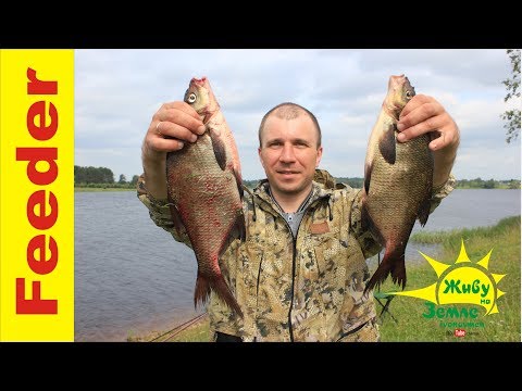 какой фидер для начинающих видео какой фидер для начинающих видео