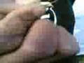 videos de la cavalletta