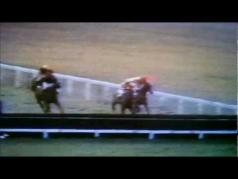 grand national grand national