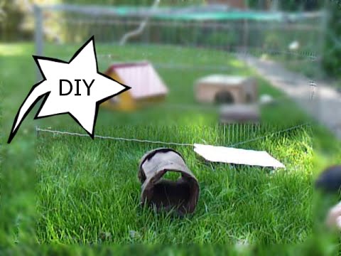 Genial einfach - Meerschweinchen Tunnel in nur 5 min selbst gemacht! DIY Guinea Pig tunnel in 5 min!
