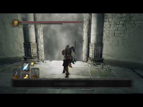 Sorcerer & friend versus Looking Glass Knight NG+7, Dark Souls 2 SotFS