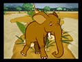Passeio Animal - Onça Pintada