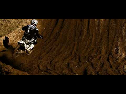 David Philippaerts | Thor